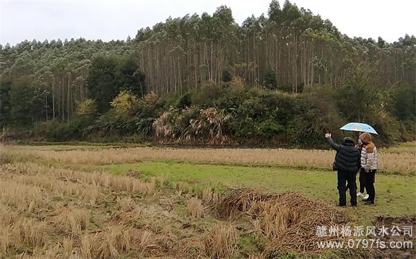 锦州市陈老师带着爱徒寻龙点穴